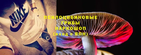 винт Баксан